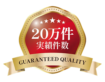 実績件数 20万件